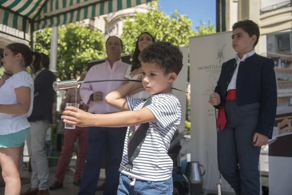 Fotogalería / Fiesta de la Vendimia en las Tendillas