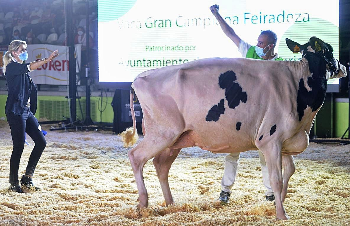 &quot;Baroncelle Sidekick Paty ET&quot;, la vaca Gran Campeona Feiradeza. // Bernabé/Javier Lalín