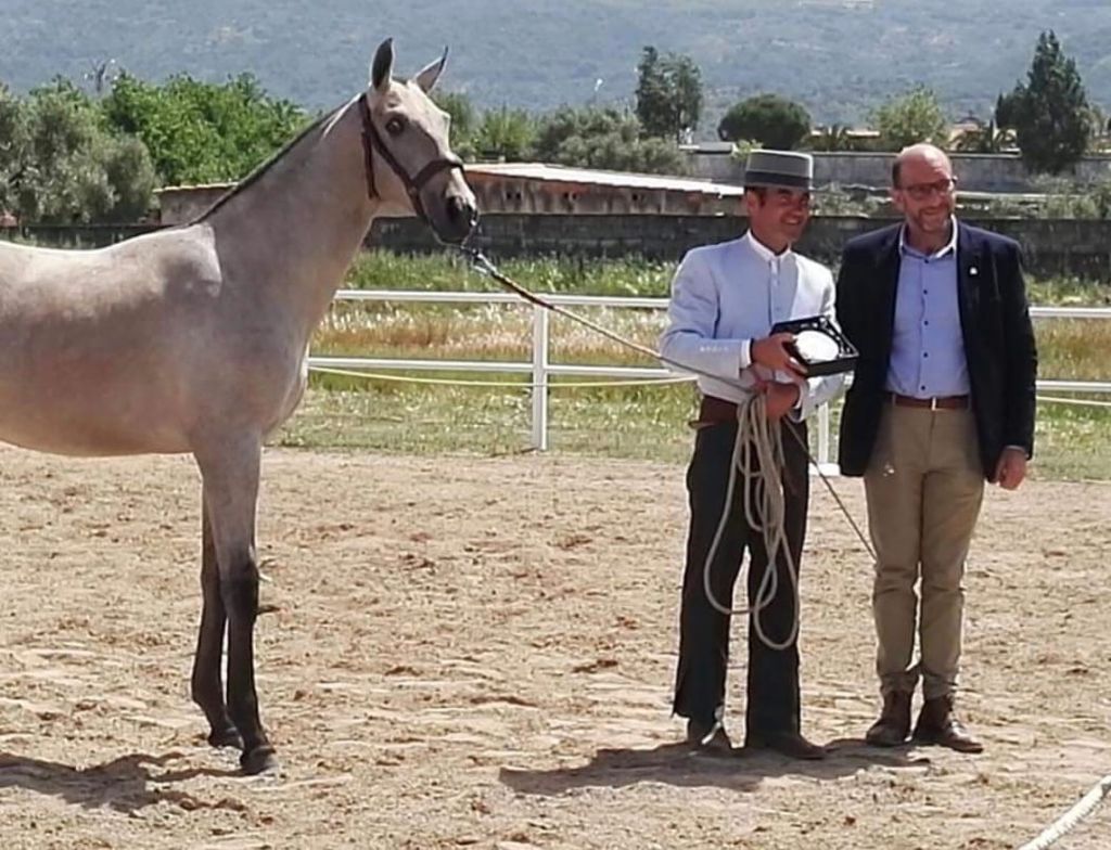 El alcalde Juan Rodríguez durante la entrega de premios a los caballos.