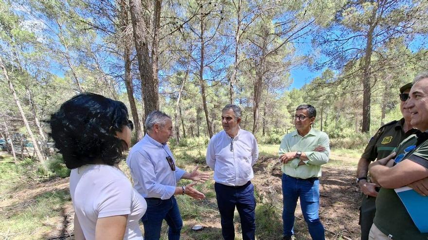 La Comunidad invierte 3,8 millones de euros en Moratalla para reforzar la resiliencia forestal y la conectividad ecológica del Noroeste