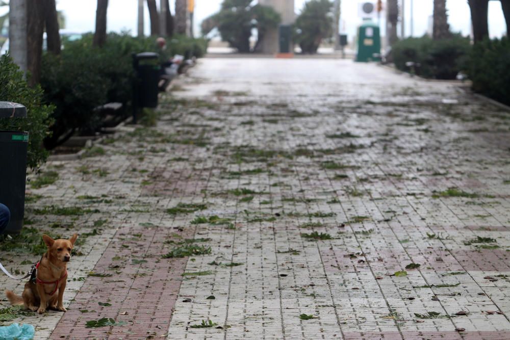 En las playas que hace apenas tres días acogían a numerosas personas tomando el sol e incluso bañándose, el temporal asociado a la borrasca las ha dejado desiertas.