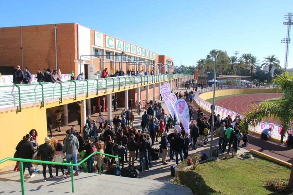 Homenaje a Pepelu en Carranque