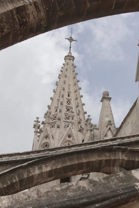 Visita guiada a las terrazas de la Seu