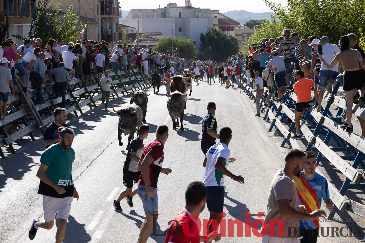 Tercer encierro Feria del Arroz en Calasparra