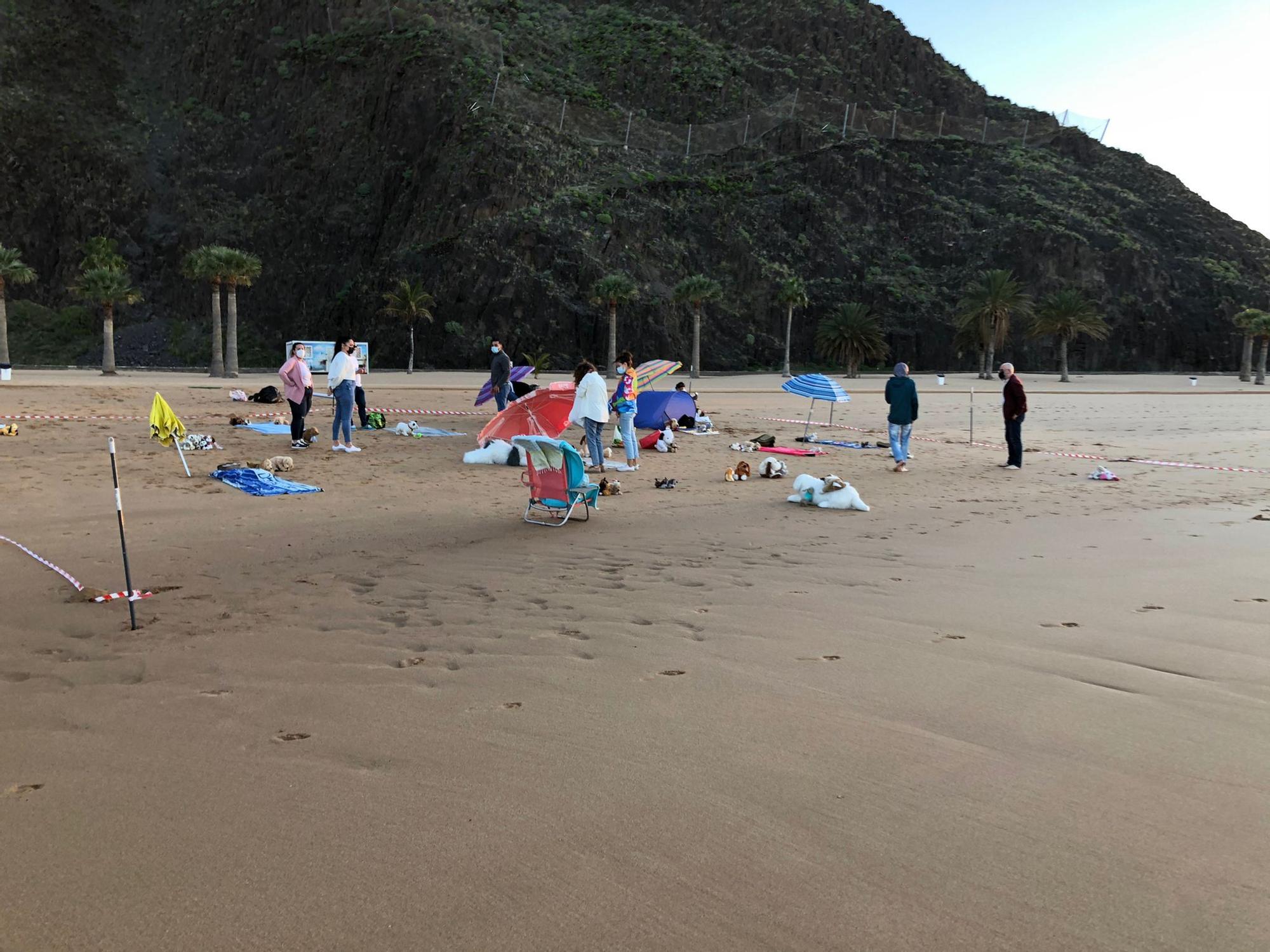 Acción pacífica en la playa de Las Teresitas en demanda de una zona para mascotas