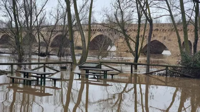 GALERÍA | La crecida del río Duero anega algunas zonas de Toro
