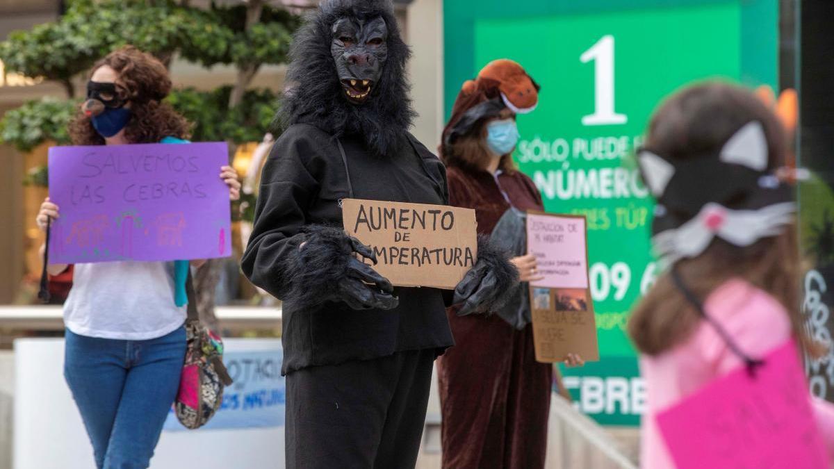 Activistas denuncian en Murcia la inacción ante la desaparición de las especies