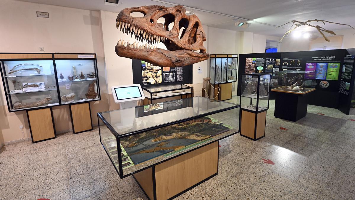 Museo de los Dinosaurios de Salas de los Infantes.