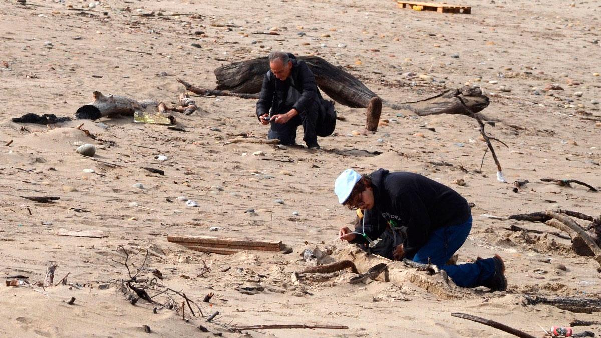 César Fernández y Jairo Robla, en la playa de Xagó (Gozón), buscando artrópodos.