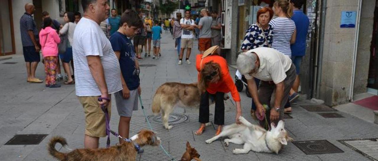 Vecinos de Pontevedra juegan con sus perros en la calle Peregrina. |   // GUSTAVO SANTOS