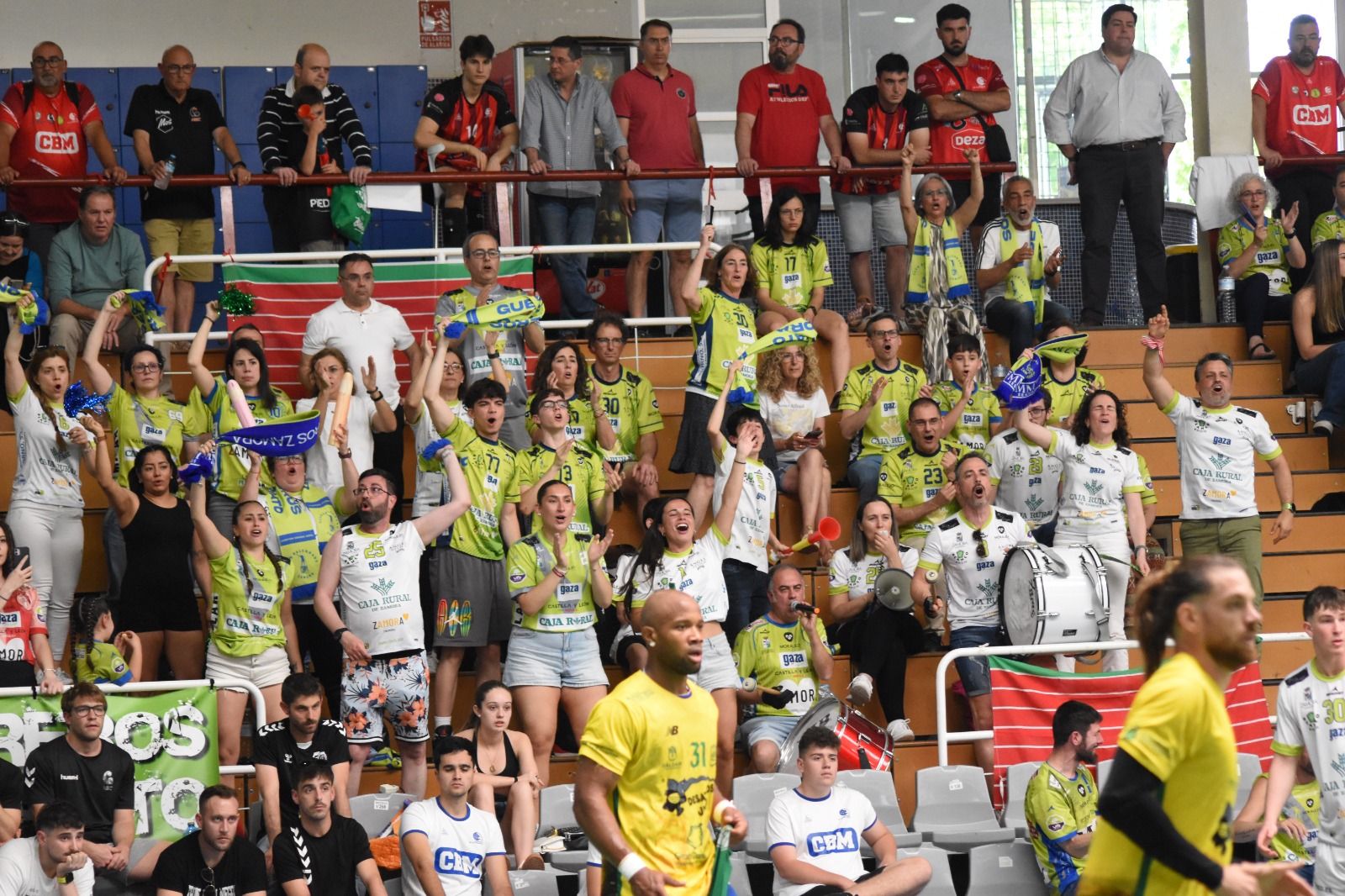 Balonmano Zamora