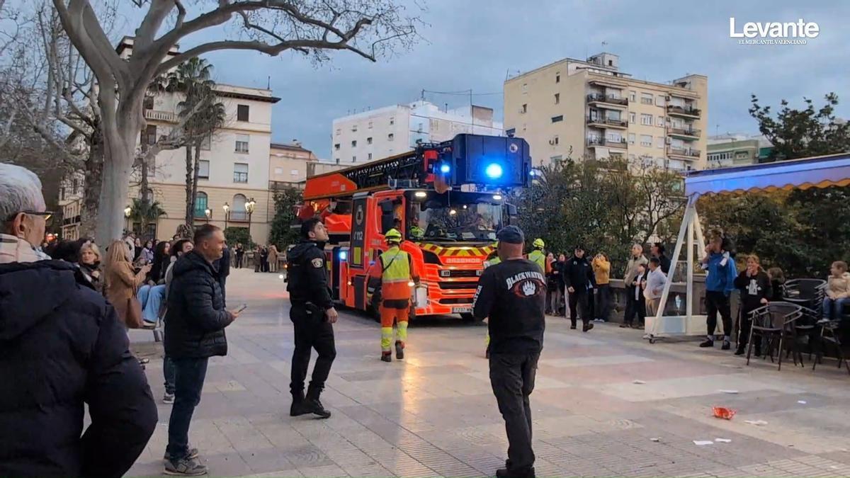 Gran despliegue para rescatar a un guacamayo atrapado en un árbol de Xàtiva