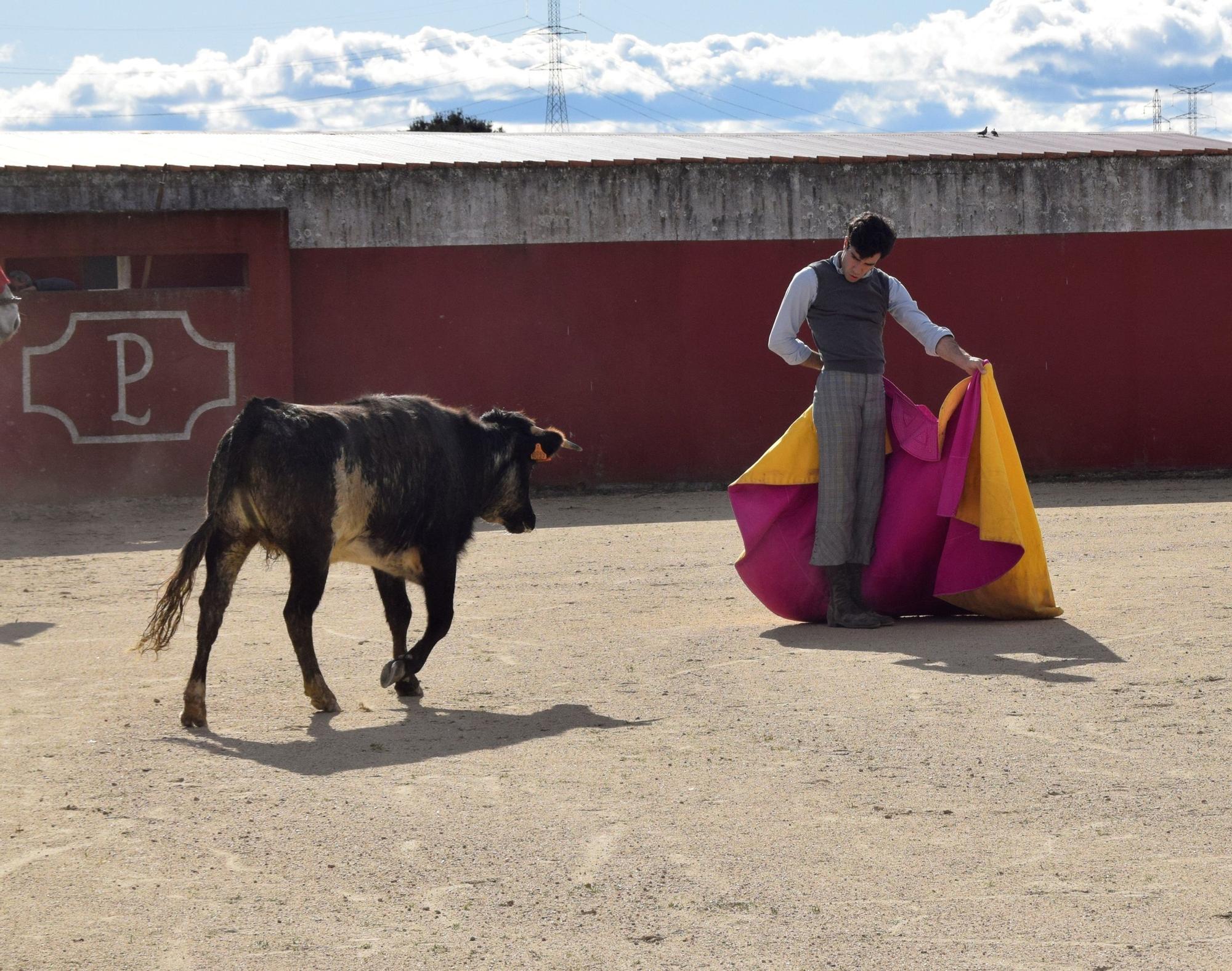 La entrevista a Tomás Rufo, en imágenes