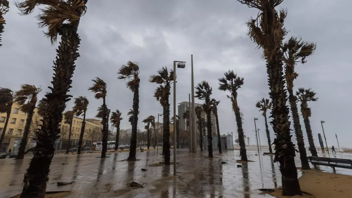 Cuidado: rachas de viento inesperadas amenazan en estas zonas de Catalunya