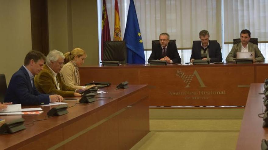 Domingo Segado, Óscar Urralburu y Emilio Ivars dirigen la comisión de investigación sobre el aeropuerto de Corvera.