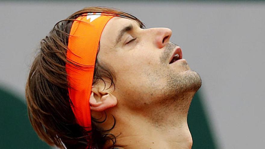 David Ferrer.