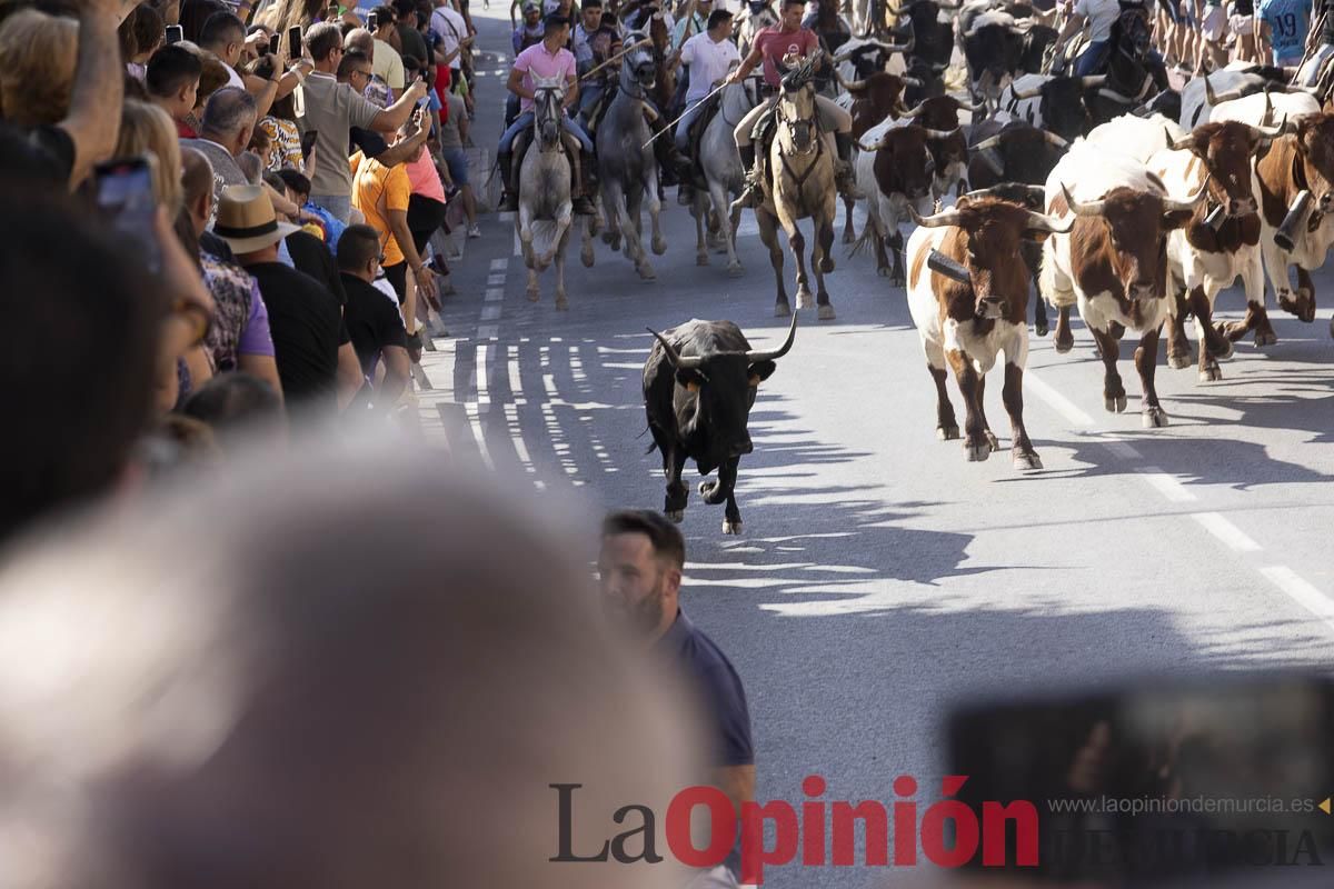 Séptimo encierro de las Fiestas de Moratalla