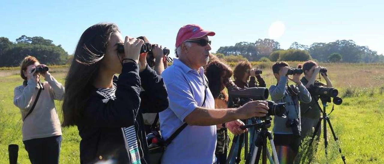 Observación de aves en el Complejo Intermareal Umia-O Grove. // Muñiz