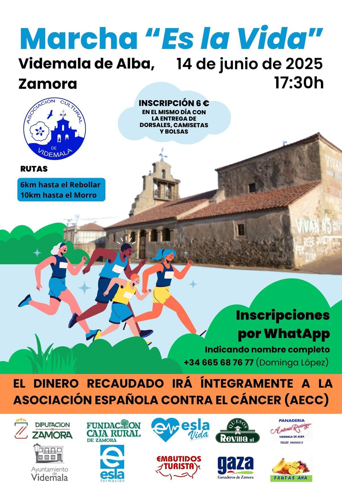 Marcha solidatia en Videmala.