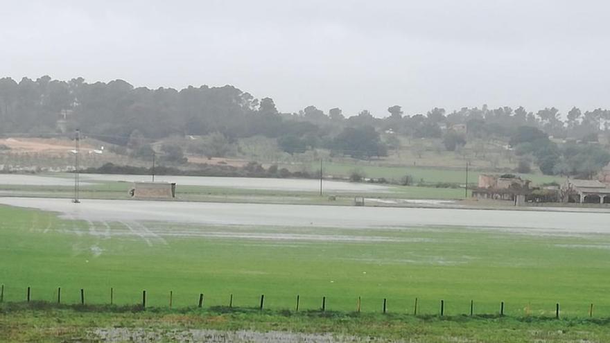 Land unter: die Folgen des Sturmtiefs Gloria auf Mallorca