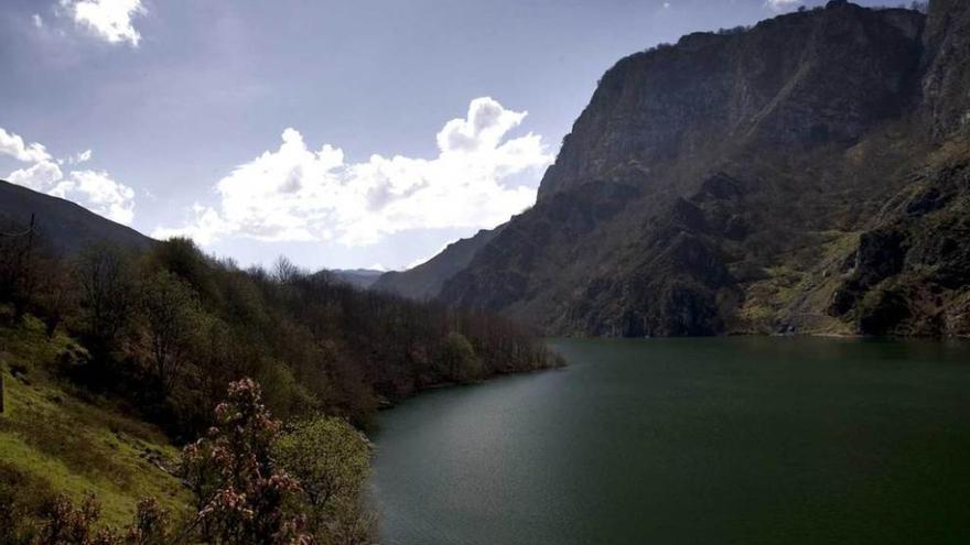 Tanes, el imperio del agua