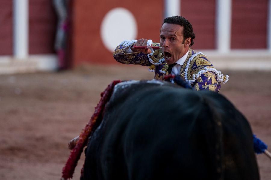 Fiestas San Pedro 2017: Feria Taurina de San Pedro