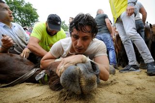 Una lucha bajo el agua en la Rapa das Bestas