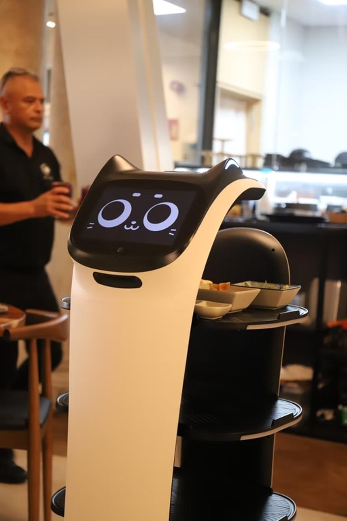 El robot-gato es uno de los grandes atractivos de Akira.
