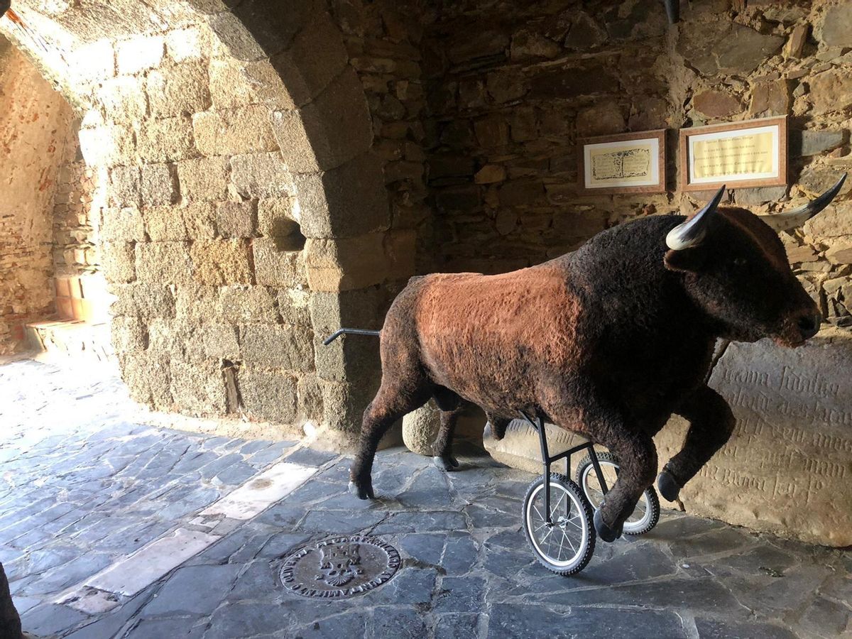 Acceso al castillo.
