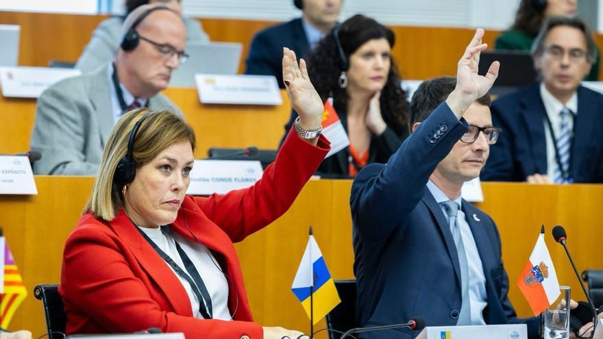 Astrid Pérez logra que Canarias lidere el grupo de trabajo sobre migración de los parlamentos regionales de Europa