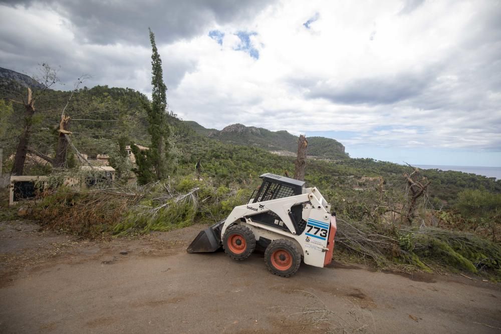 Baleares pedirá declarar zona catastrófica las áreas de Mallorca afectadas por el temporal del sábado