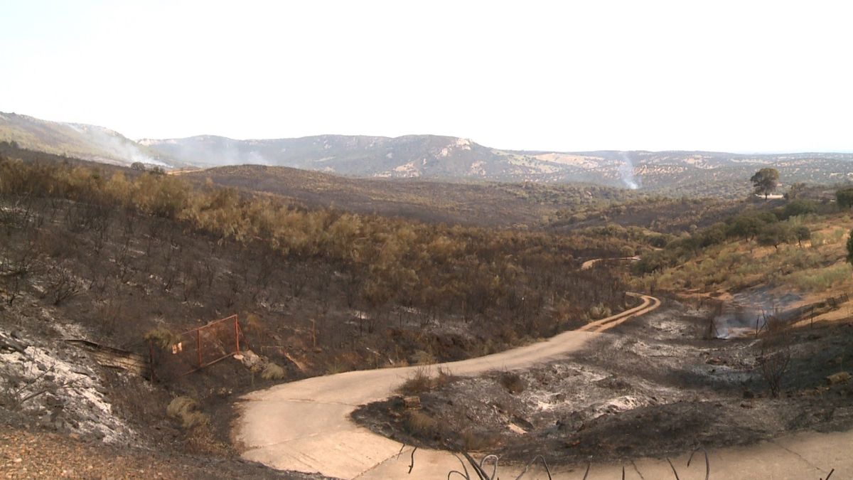 Así quedó la zona de Casas de Miravete y Monfragüe tras el incendio