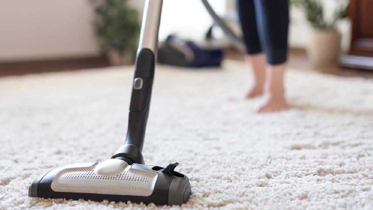 Trucazo para la limpieza del hogar: poner laurel en la aspiradora