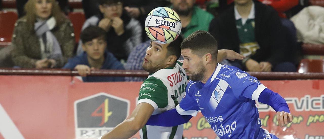 Córdoba Futsal-Manzanares, las imágenes del partido en Vista Alegre