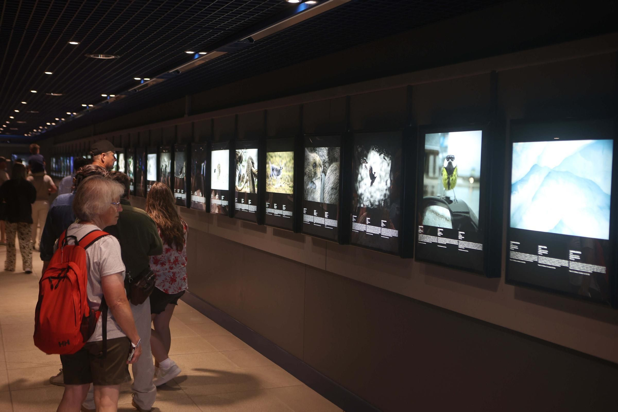 85 fotos forman parte de la exposición 'Fotógrafos na natureza' en el Aquarium