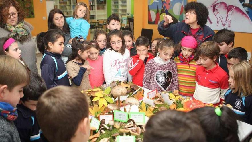 Los niños de O Foxo tuvieron, ayer, una oportunidad de oro para acercarse a las setas. // Bernabé / Ana Agra