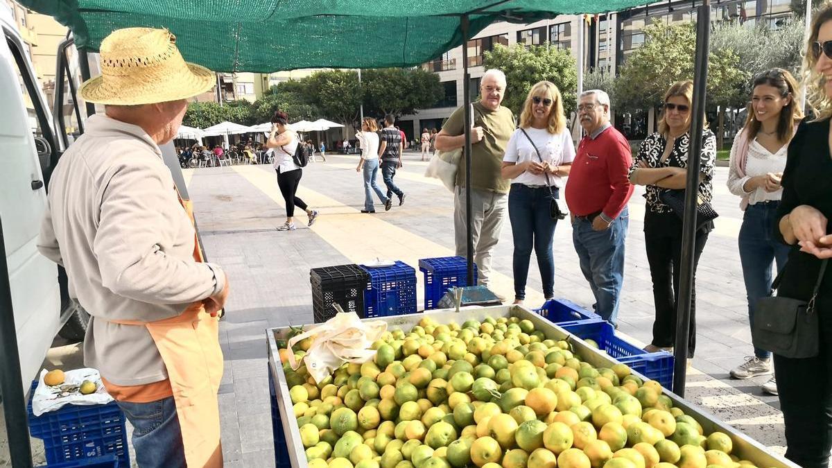 El XI Mercat de la Taronja comienza en Almassora para ofrecer productos de la zona cada domingo en el centro urbano.