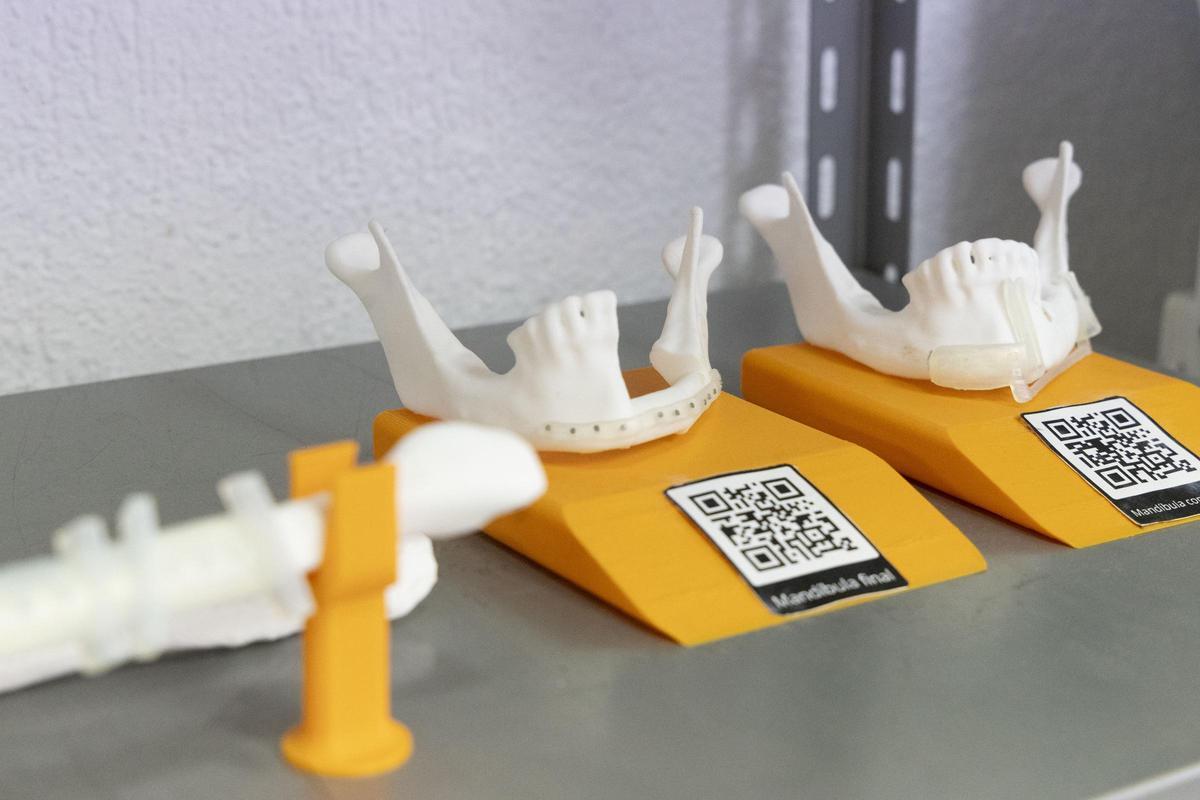 Alicante exporta a Europa prototipos en 3D del cerebro