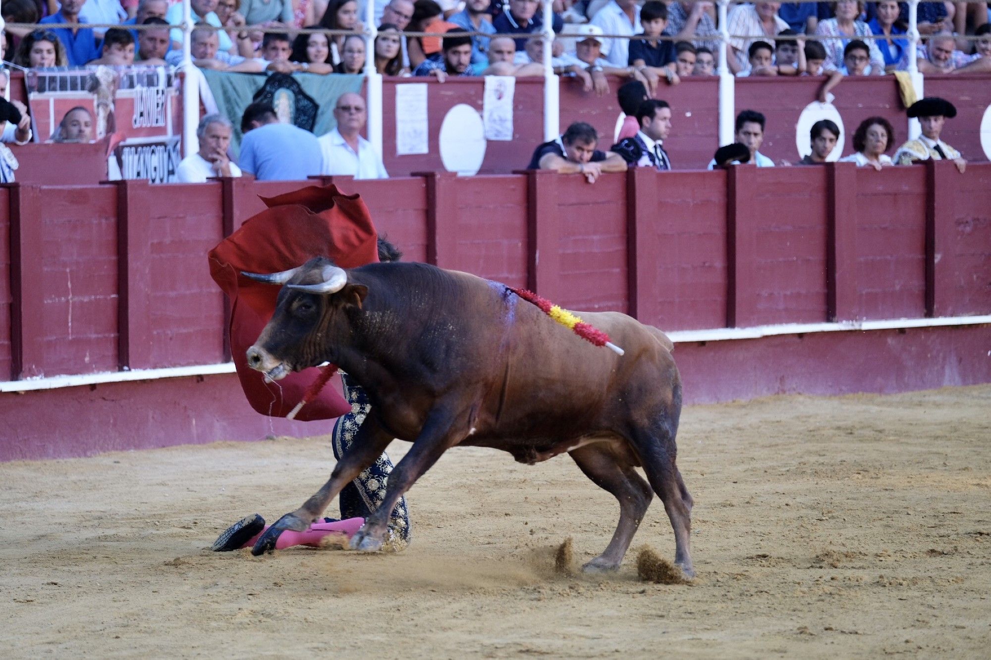 Las imágenes de la segunda semifinal del XV Certamen Internacional de Escuelas Taurinas