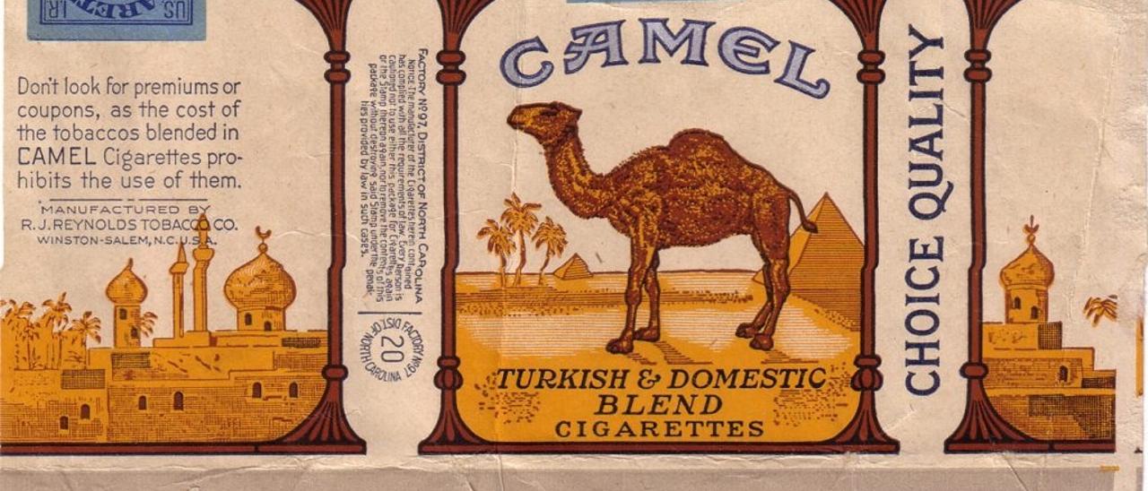 Camel