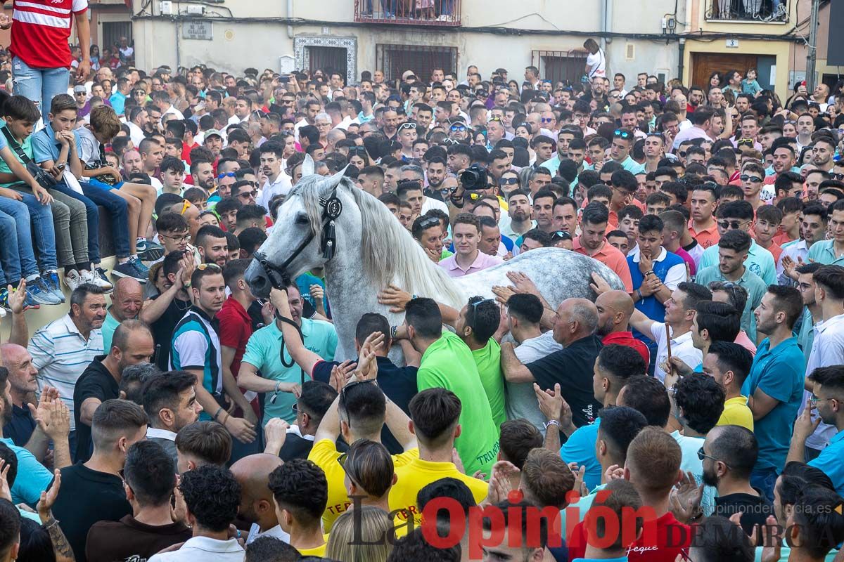 Entrega de premios del concurso morfológico de los Caballos del Vino de Caravaca