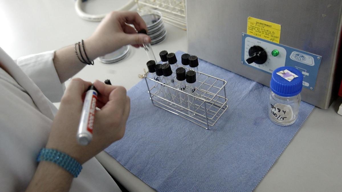 Análisis en el laboratorio de microbiología de la Agència de Salut Pública para encontrar legionela, en una imagen de archivo