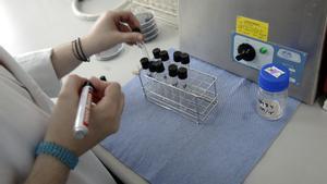 Análisis en el laboratorio de microbiología de la Agència de Salut Pública, en una imagen de archivo
