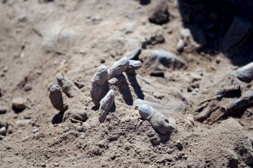 Los equipos forenses iraquíes recuperan los cadáveres de una fosa común