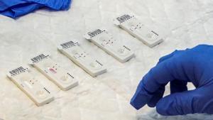 Els experts temen una nova onada de covid