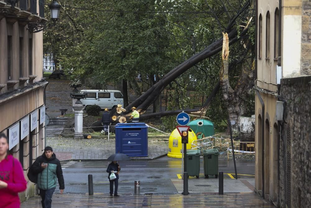 Las consecuencias de la tormenta en Avilés.