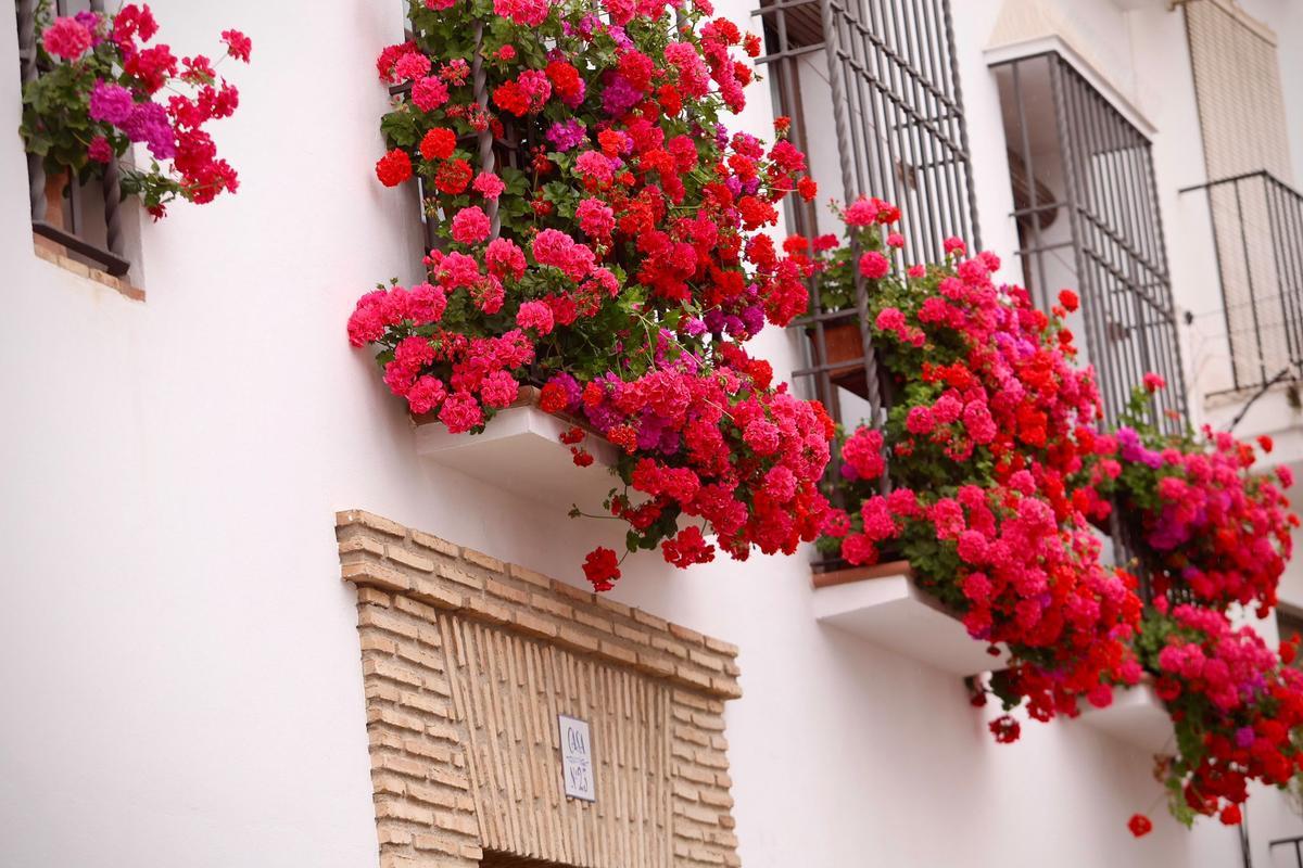 Ganadores del Concurso de Rejas y Balcones de Córdoba 2026