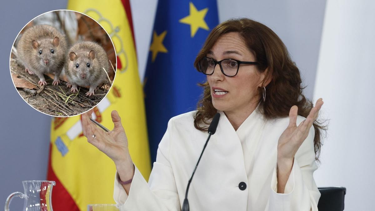 Mónica García, Ministra de Sanidad, concedió una rueda de prensa para explicar el procedimiento de evacuación y cuarentena de los infectados y asintomáticos