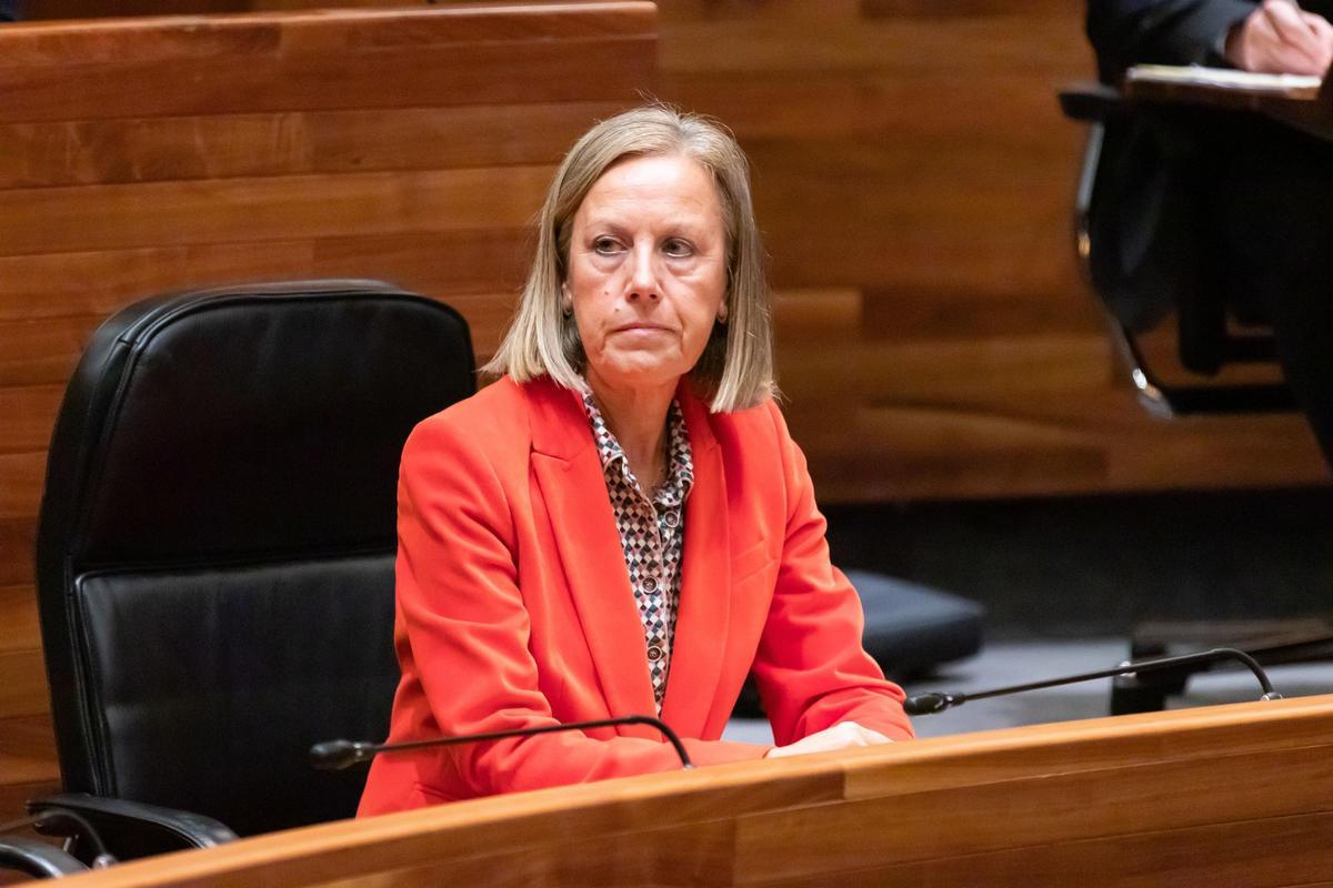 La diputada Pilar Fernández Pardo (PP), en la Junta.