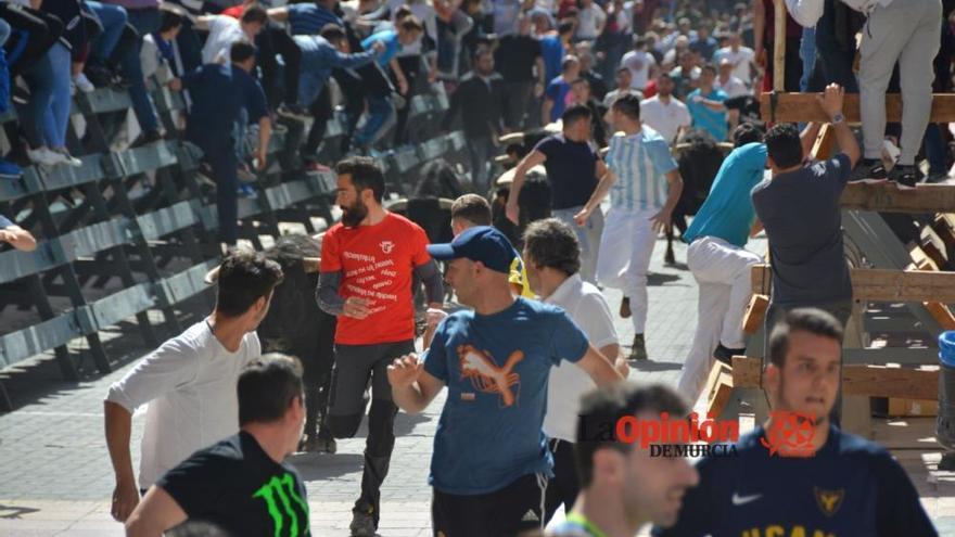 Encierro Feria de la Villa del Toro Blanca 2018